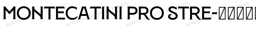 Montecatini Pro Stre字体转换